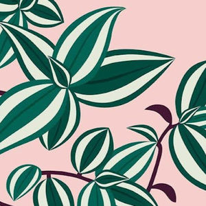 Meet your Posher, Ellie